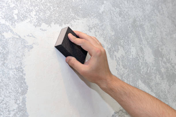 Best Mold Remediation for Healthcare Facilities  in Great Neck Gardens, NY