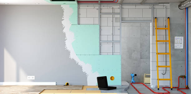 Best Black Mold Removal  in Great Neck Gardens, NY