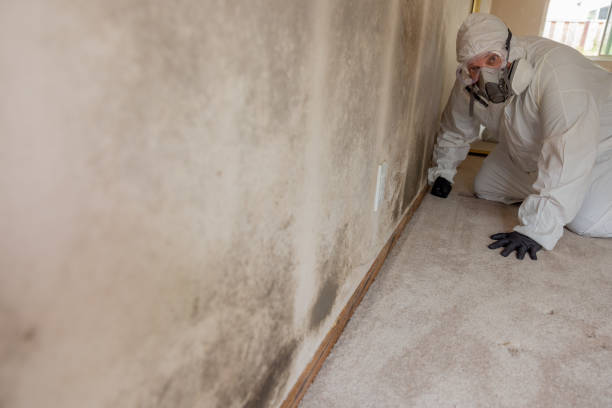 Best Indoor Air Quality Assessment  in Great Neck Gardens, NY